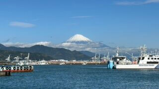 shimizu port